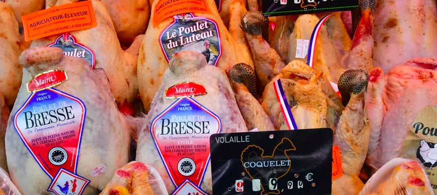MAREL: HOW TO PROCESS LOCAL AND ORGANIC CHICKEN?
